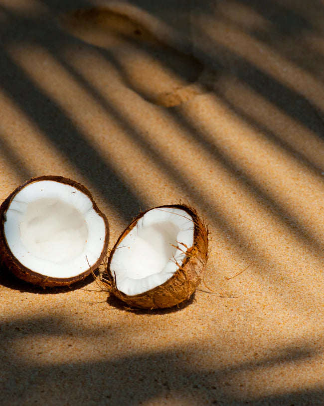 Coconut Fragrances